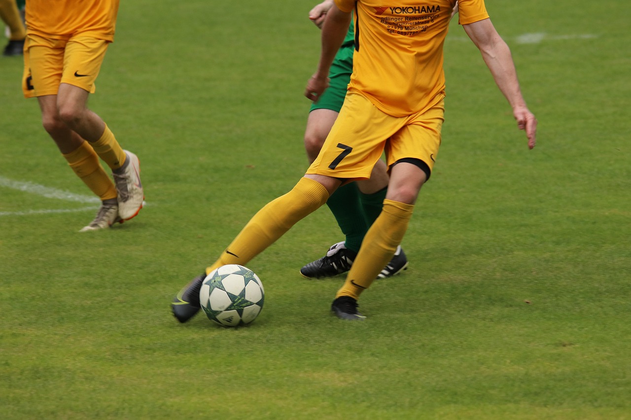 赛并迅速展 赛并迅速展