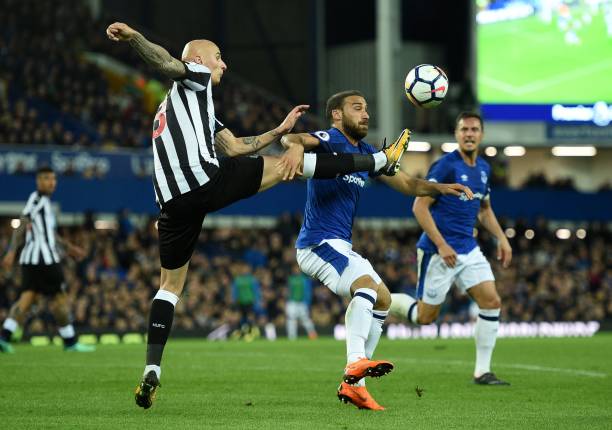 也适用于什 也适用于什